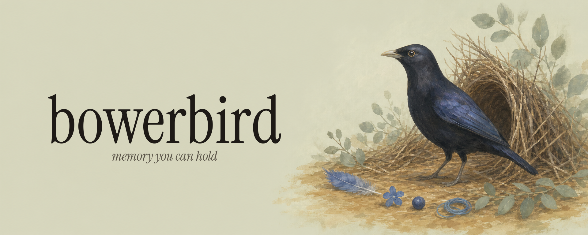 bowerbird — memory you can hold
